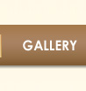 Bold Taste Tour - Gallery