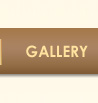 Bold Taste Tour - Gallery
